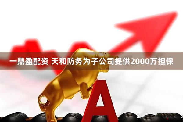 一鼎盈配资 天和防务为子公司提供2000万担保