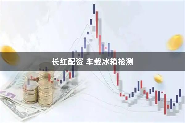 长红配资 车载冰箱检测