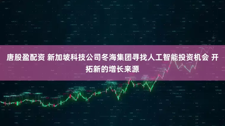 唐股盈配资 新加坡科技公司冬海集团寻找人工智能投资机会 开拓新的增长来源