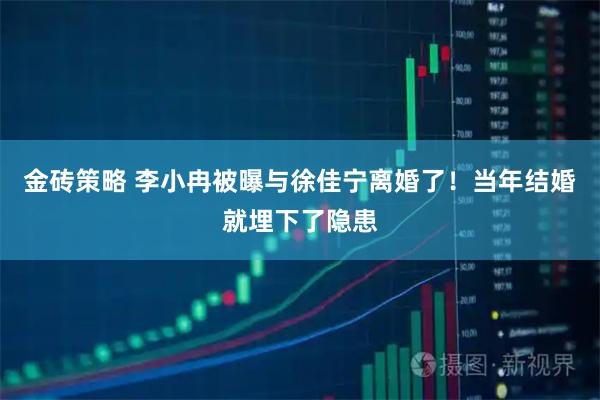 金砖策略 李小冉被曝与徐佳宁离婚了！当年结婚就埋下了隐患